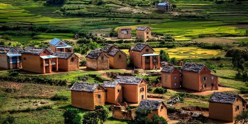 Rit naar Antsirabe</b><p>
                     Na het ontbijt vertrek je zuidwaarts over de RN 7 naar Antsirabe gelegen op 1400 meter.
                     Het is een voormalige kuurstad en werd vroeger het Vichy van Madagaskar genoemd. 
                     Het is een tocht langs rijstvelden en terracottakleurige huizen die het landschap bepalen van het hoogland. 
                     De inwoners van dit gebied zijn de Merina, de grootste etnische groep op Madagaskar. 
                     Antsirabe staat bekend om z’n door mankracht voortgetrokken loopriksja’s, ook wel pousse-pousses genoemd. 
                     ’s Middags heb je alle tijd om Antsirabe en omgeving te verkennen. Je kunt je voor een paar euro laten 
                     rondrijden en de grandeur van de Franse villa’s aanschouwen. Het is ook mogelijk om een fiets te huren 
                     in de hoofdstraat en zelf op pad te gaan. De stad heeft een prettig hoogland klimaat, wel kunnen in 
                     inclusief een overnachting in een Gite Rural behoort ook tot de mogelijkheden